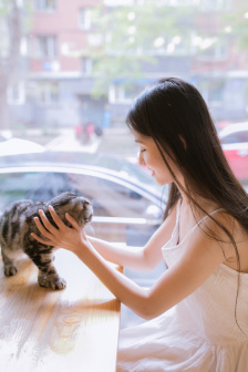 电视剧小白菜奇案